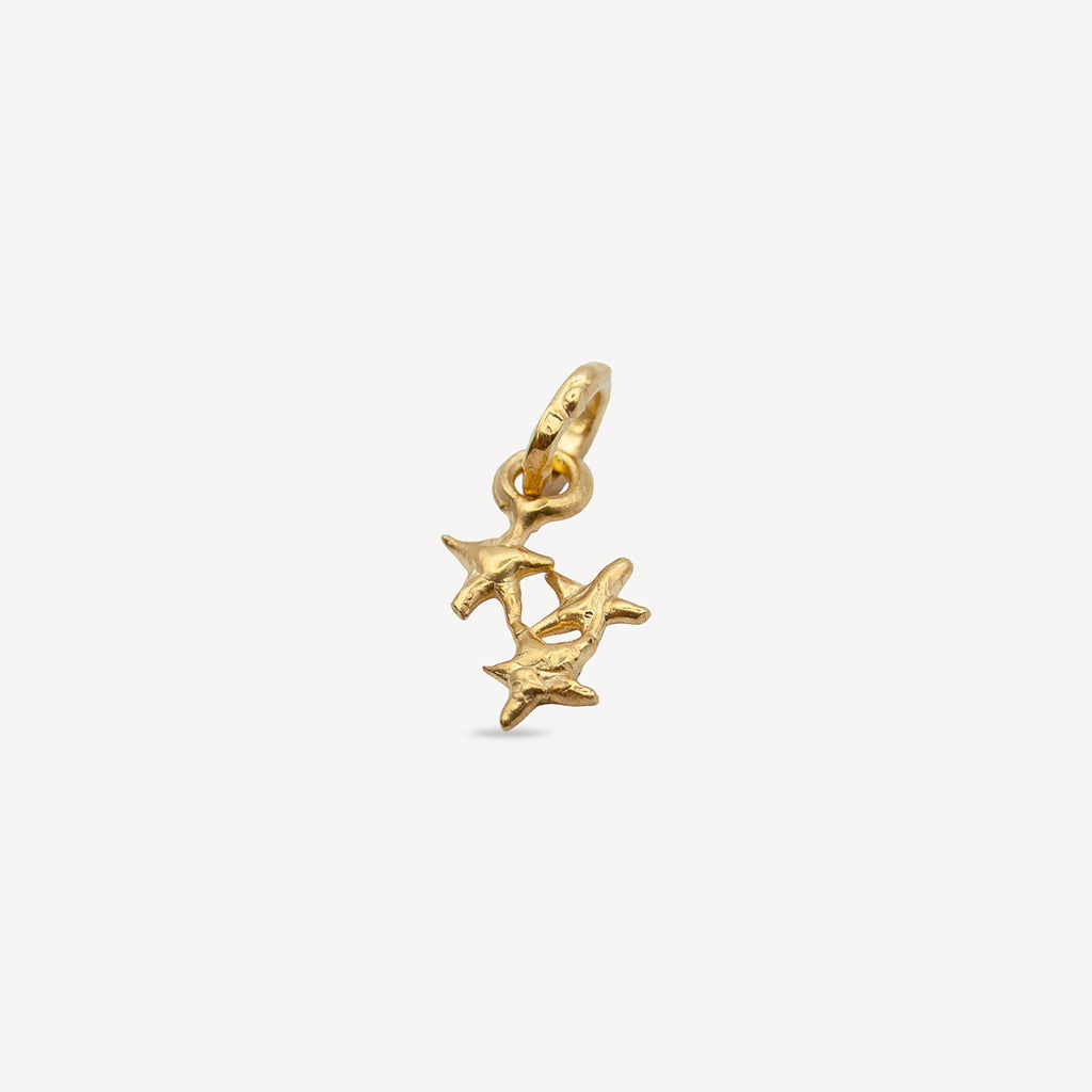 Pendentif Estrella - Vermeil