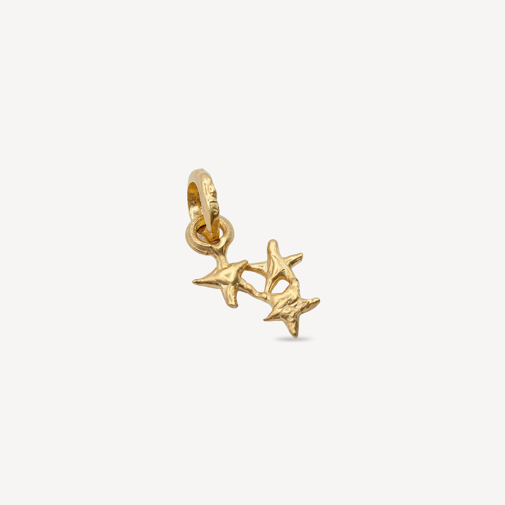 Pendentif Estrella - Vermeil